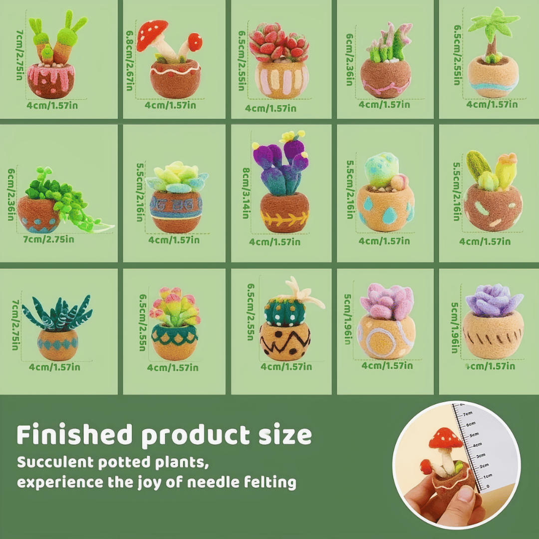 DIY Needle Felting Kit for Beginners Succulent Plants - 15 Potted Designs, 44 Colourful Wools, Complete Craft Kit with Tools & Tutorials