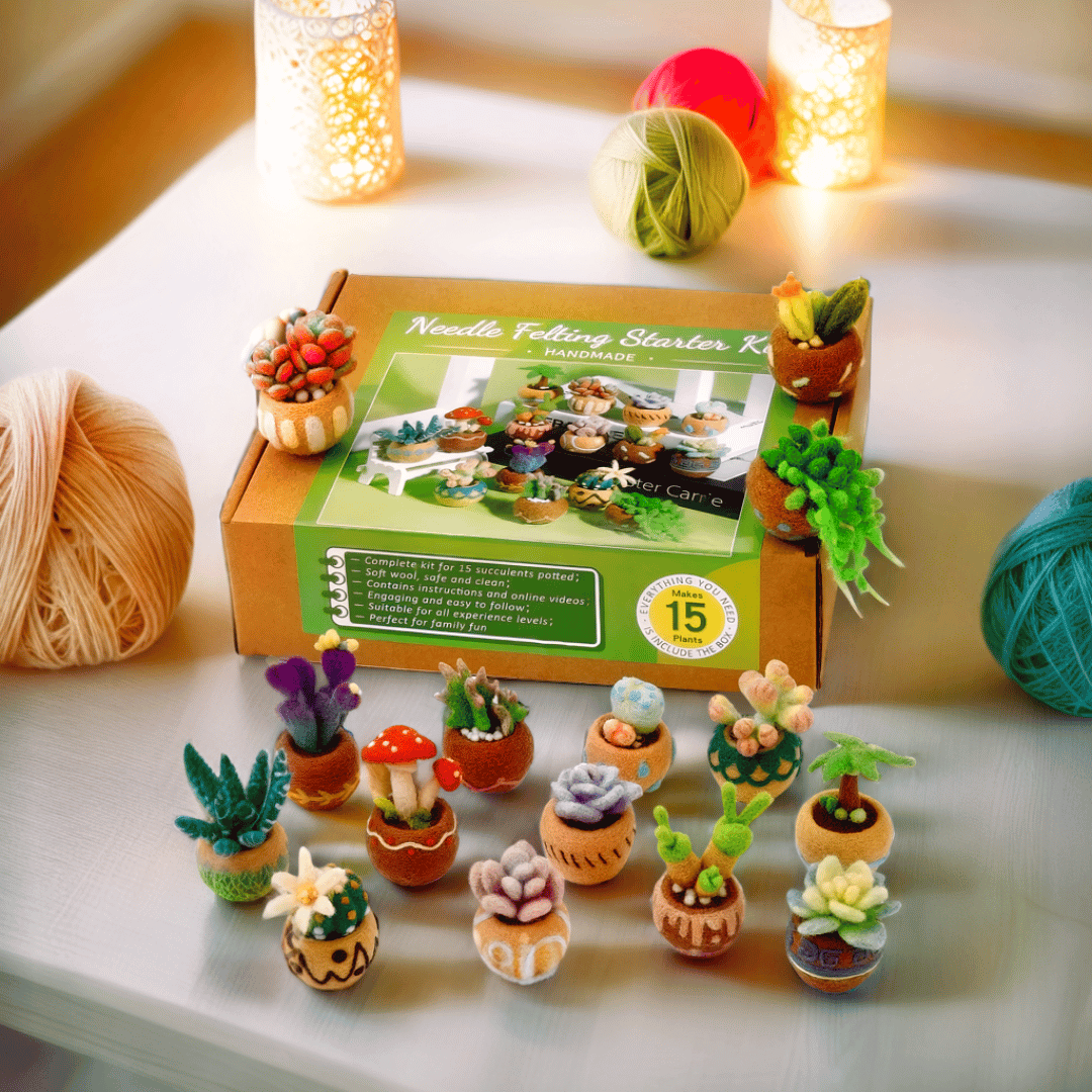 DIY Needle Felting Kit for Beginners Succulent Plants - 15 Potted Designs, 44 Colourful Wools, Complete Craft Kit with Tools & Tutorials