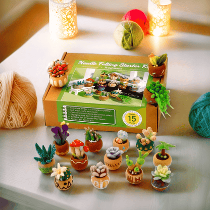 DIY Needle Felting Kit for Beginners Succulent Plants - 15 Potted Designs, 44 Colourful Wools, Complete Craft Kit with Tools & Tutorials