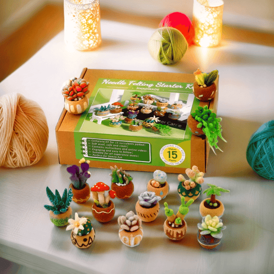 DIY Needle Felting Kit for Beginners Succulent Plants - 15 Potted Designs, 44 Colourful Wools, Complete Craft Kit with Tools & Tutorials