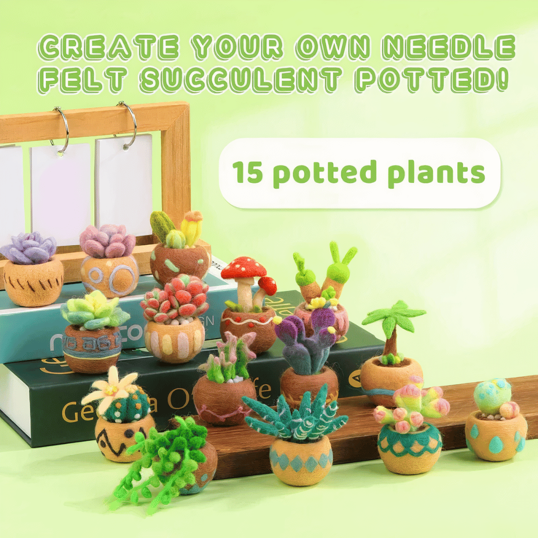 DIY Needle Felting Kit for Beginners Succulent Plants - 15 Potted Designs, 44 Colourful Wools, Complete Craft Kit with Tools & Tutorials