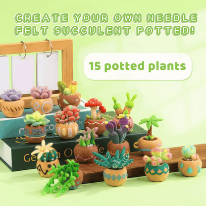 DIY Needle Felting Kit for Beginners Succulent Plants - 15 Potted Designs, 44 Colourful Wools, Complete Craft Kit with Tools & Tutorials