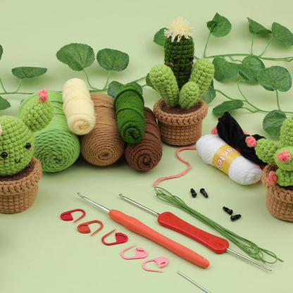 Complete Crochet Kit for Beginners: 6pc Succulent Plants Set with Hooks, Yarn, Markers, Eyes - Easy DIY Crochet Crafts Starter Pack