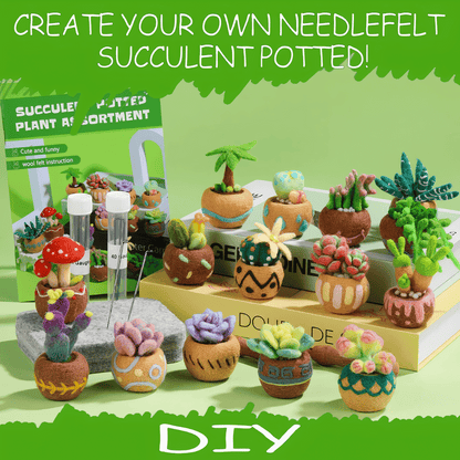 DIY Needle Felting Kit for Beginners Succulent Plants - 15 Potted Designs, 44 Colourful Wools, Complete Craft Kit with Tools & Tutorials