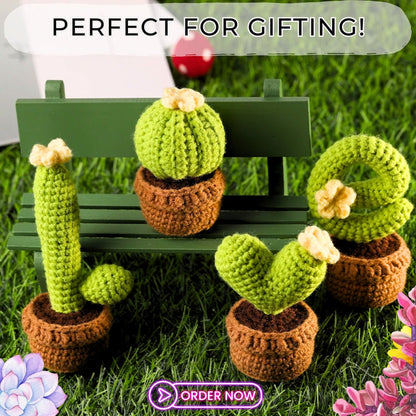 Succulents Crochet Kit - For Beginners 4pcs 'LOVE' Cactus Potted Plants, DIY Craft Set with Yarn, Needles, Instructions, & Accessories