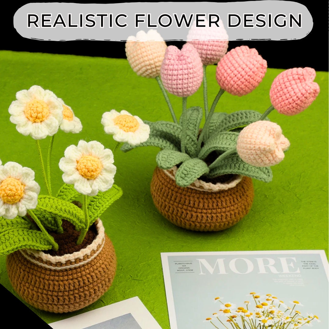 Beginner Crochet Kit Bundle 4 Plants: Yarn, Hooks, Instructions - DIY Craft Set for Home Decor & Gifts, Ideal for Mother's Day Crafting